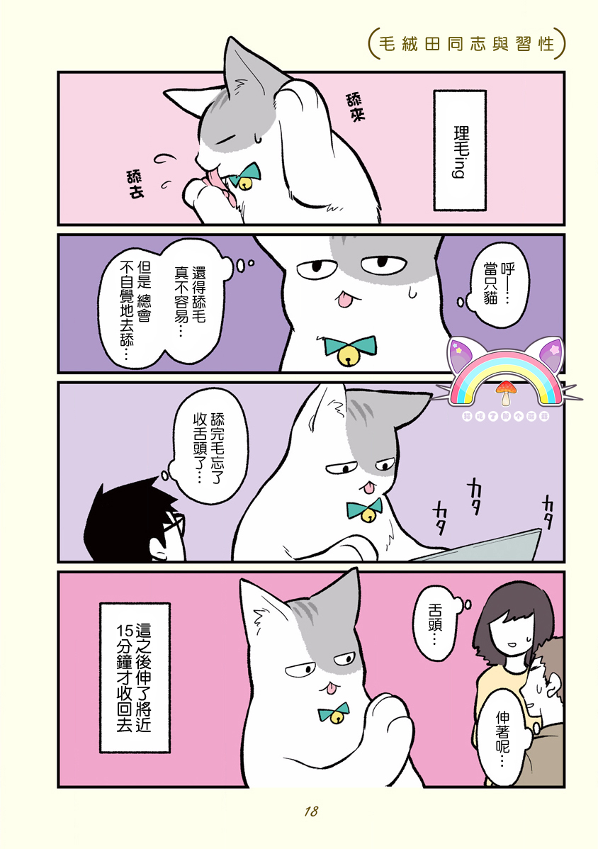 黑心企业的职员变成猫之后人生有了转变的故事韩漫全集-第02话无删减无遮挡章节图片 