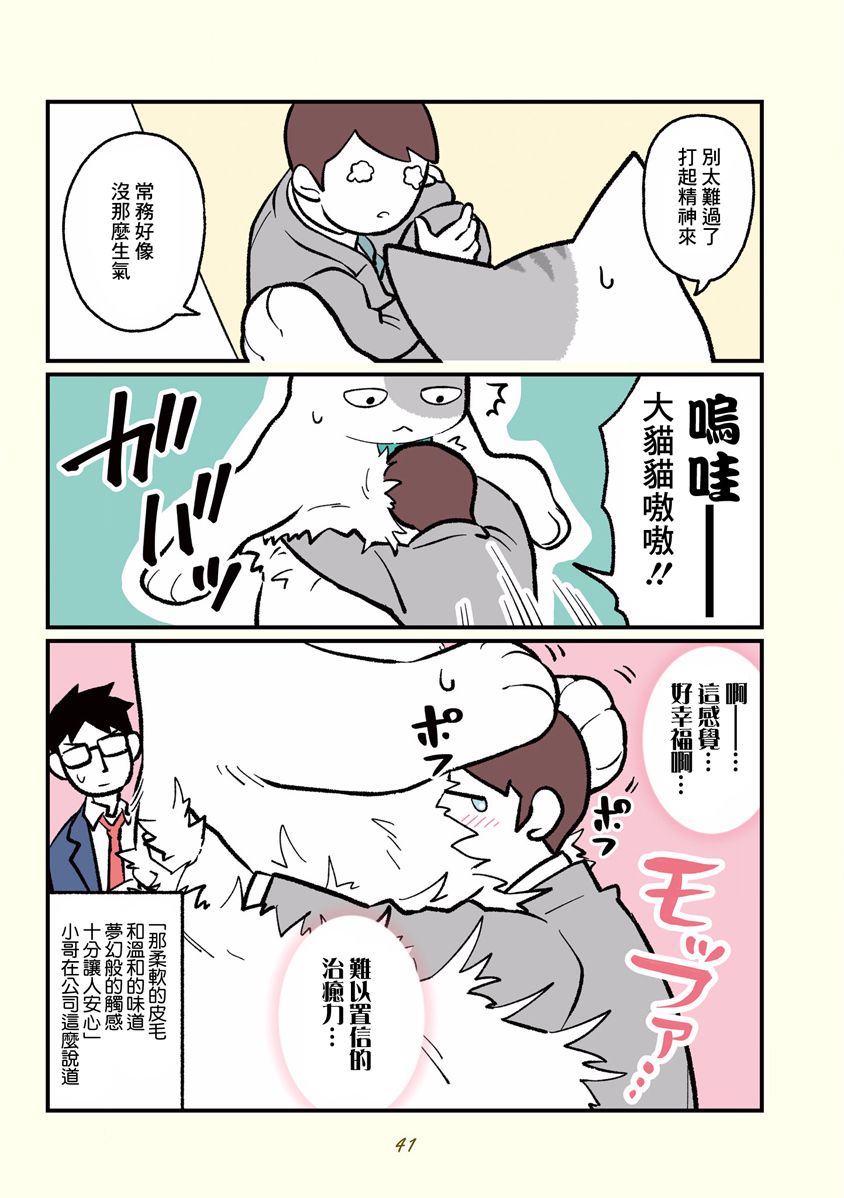 黑心企业的职员变成猫之后人生有了转变的故事韩漫全集-第04话无删减无遮挡章节图片 