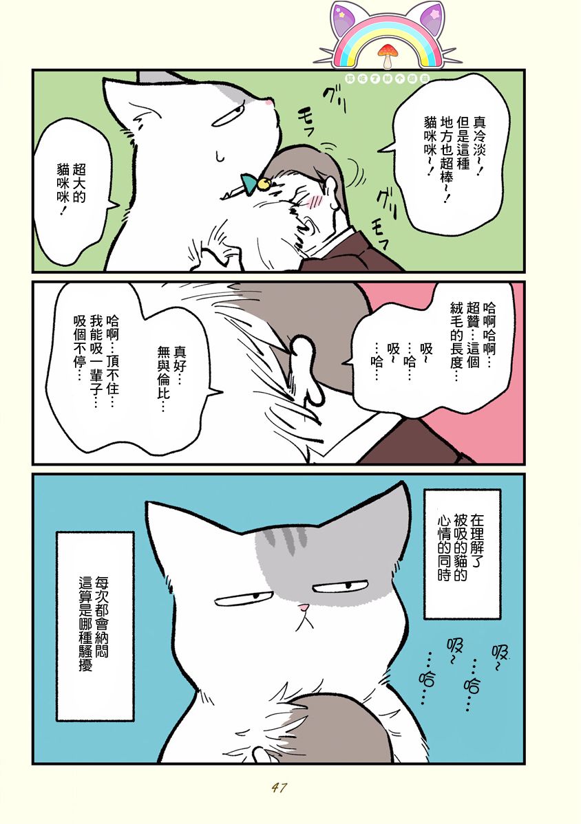 黑心企业的职员变成猫之后人生有了转变的故事韩漫全集-第05话无删减无遮挡章节图片 