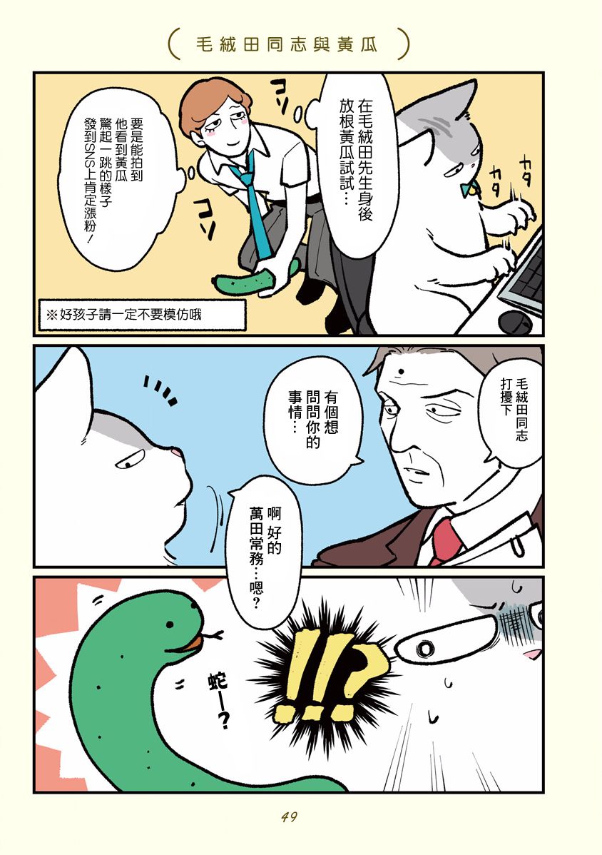 黑心企业的职员变成猫之后人生有了转变的故事韩漫全集-第05话无删减无遮挡章节图片 