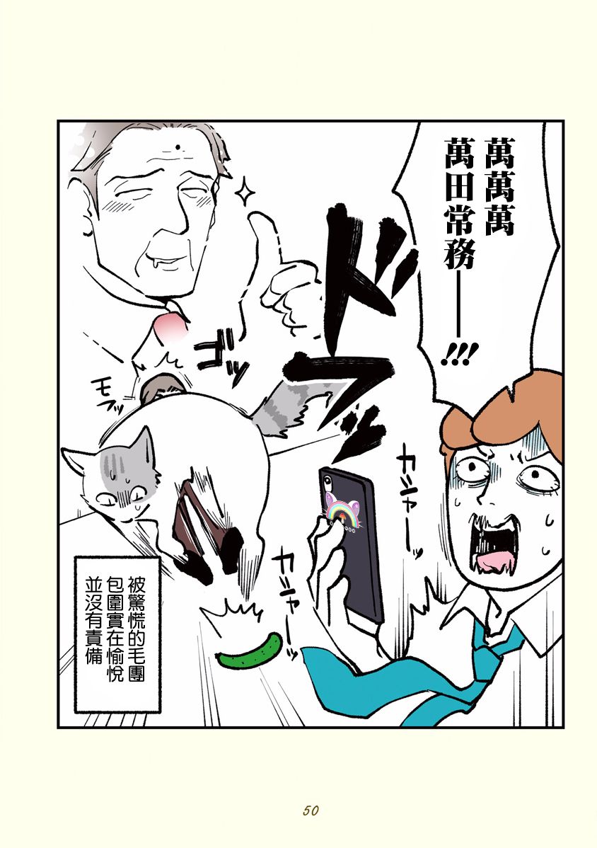 黑心企业的职员变成猫之后人生有了转变的故事韩漫全集-第05话无删减无遮挡章节图片 