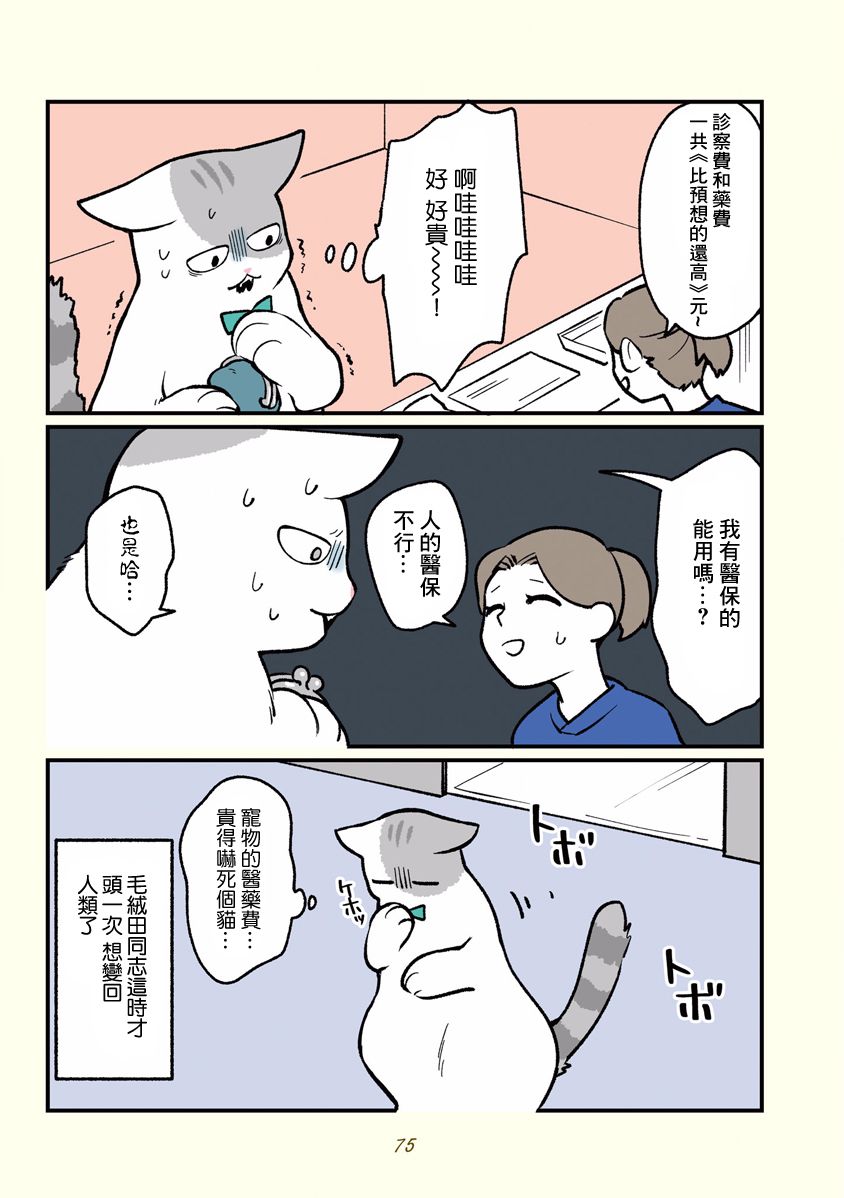 黑心企业的职员变成猫之后人生有了转变的故事韩漫全集-第07话无删减无遮挡章节图片 