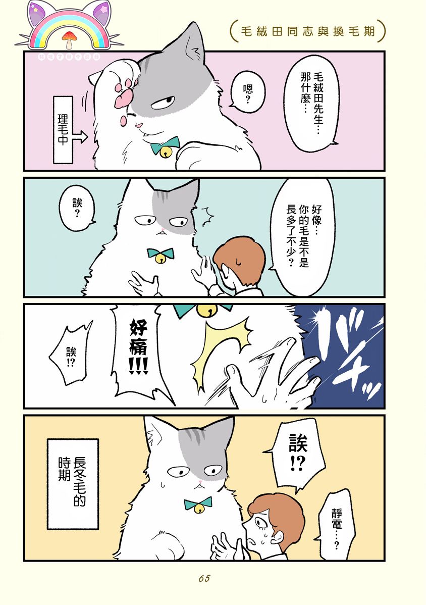 黑心企业的职员变成猫之后人生有了转变的故事韩漫全集-第07话无删减无遮挡章节图片 