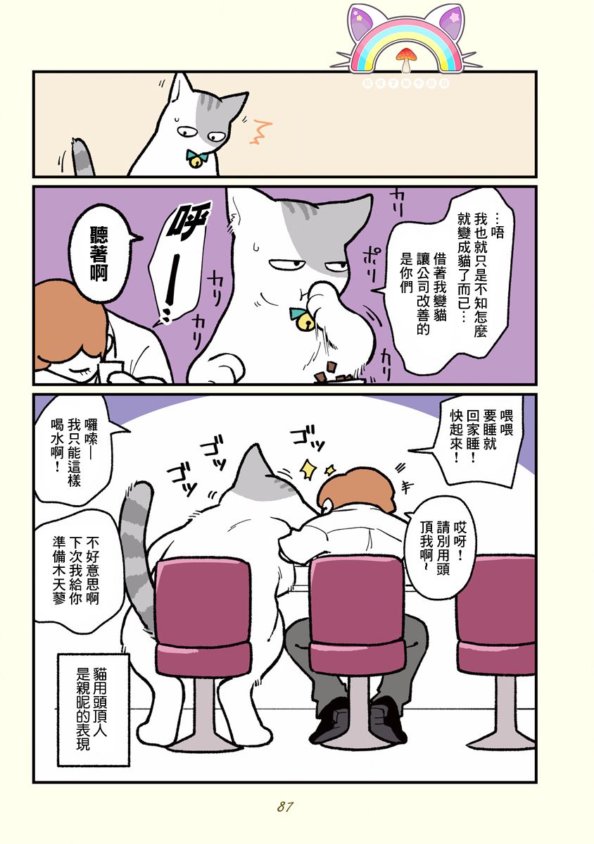 黑心企业的职员变成猫之后人生有了转变的故事韩漫全集-第08话无删减无遮挡章节图片 