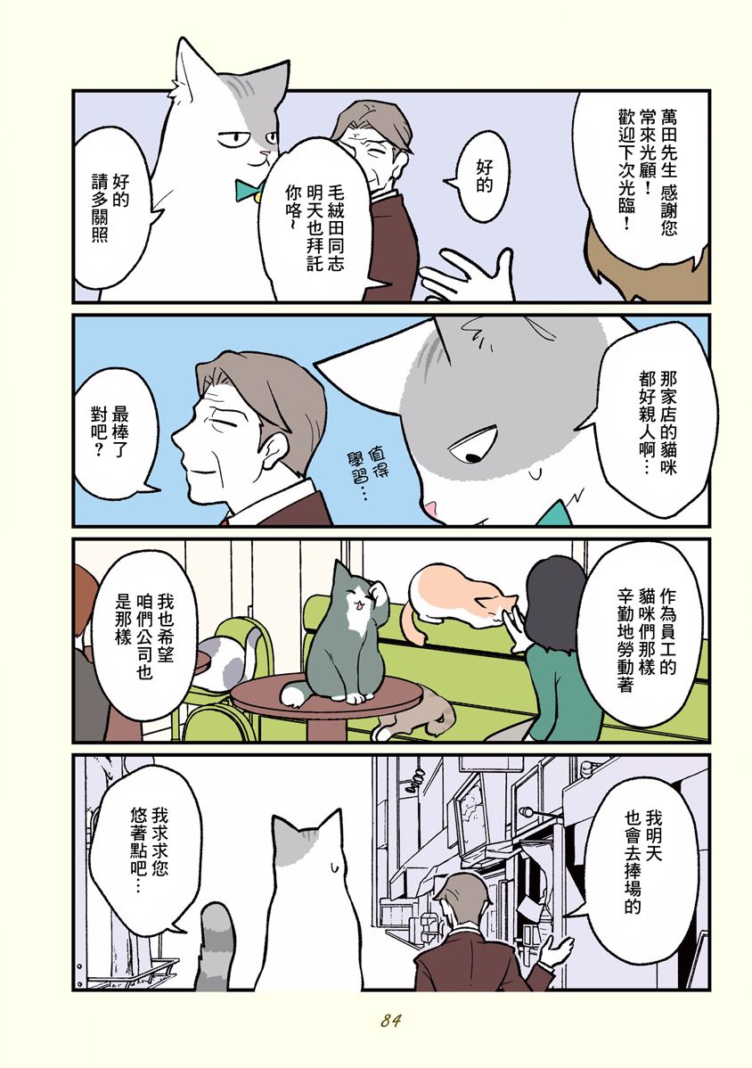 黑心企业的职员变成猫之后人生有了转变的故事韩漫全集-第08话无删减无遮挡章节图片 