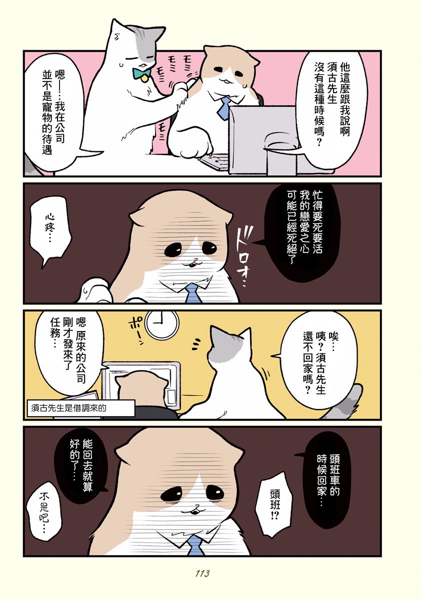 黑心企业的职员变成猫之后人生有了转变的故事韩漫全集-第10话无删减无遮挡章节图片 