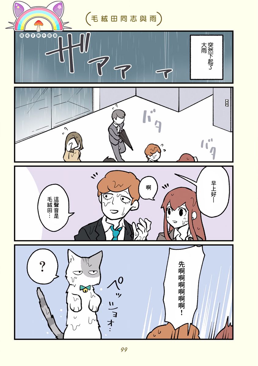 黑心企业的职员变成猫之后人生有了转变的故事韩漫全集-第10话无删减无遮挡章节图片 