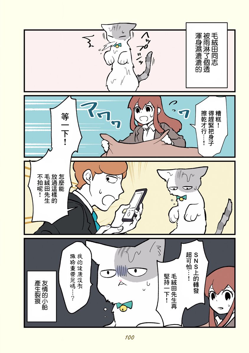 黑心企业的职员变成猫之后人生有了转变的故事韩漫全集-第10话无删减无遮挡章节图片 