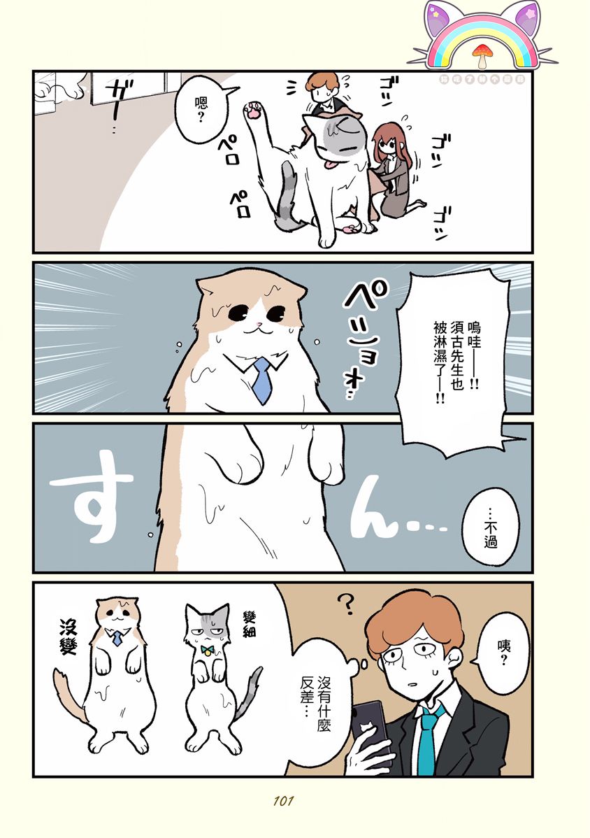 黑心企业的职员变成猫之后人生有了转变的故事韩漫全集-第10话无删减无遮挡章节图片 
