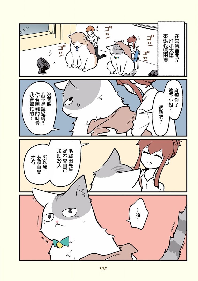 黑心企业的职员变成猫之后人生有了转变的故事韩漫全集-第10话无删减无遮挡章节图片 