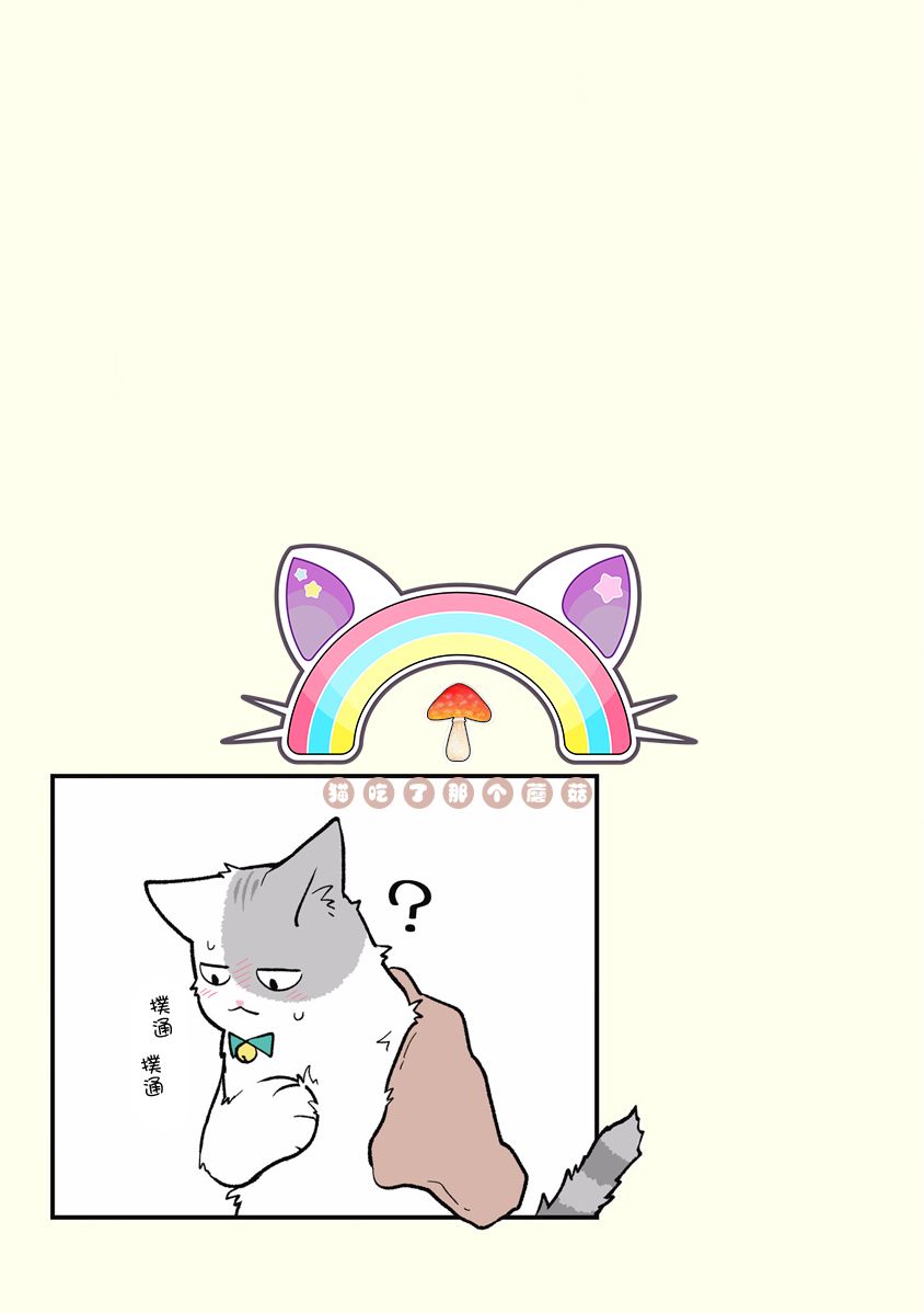 黑心企业的职员变成猫之后人生有了转变的故事韩漫全集-第10话无删减无遮挡章节图片 