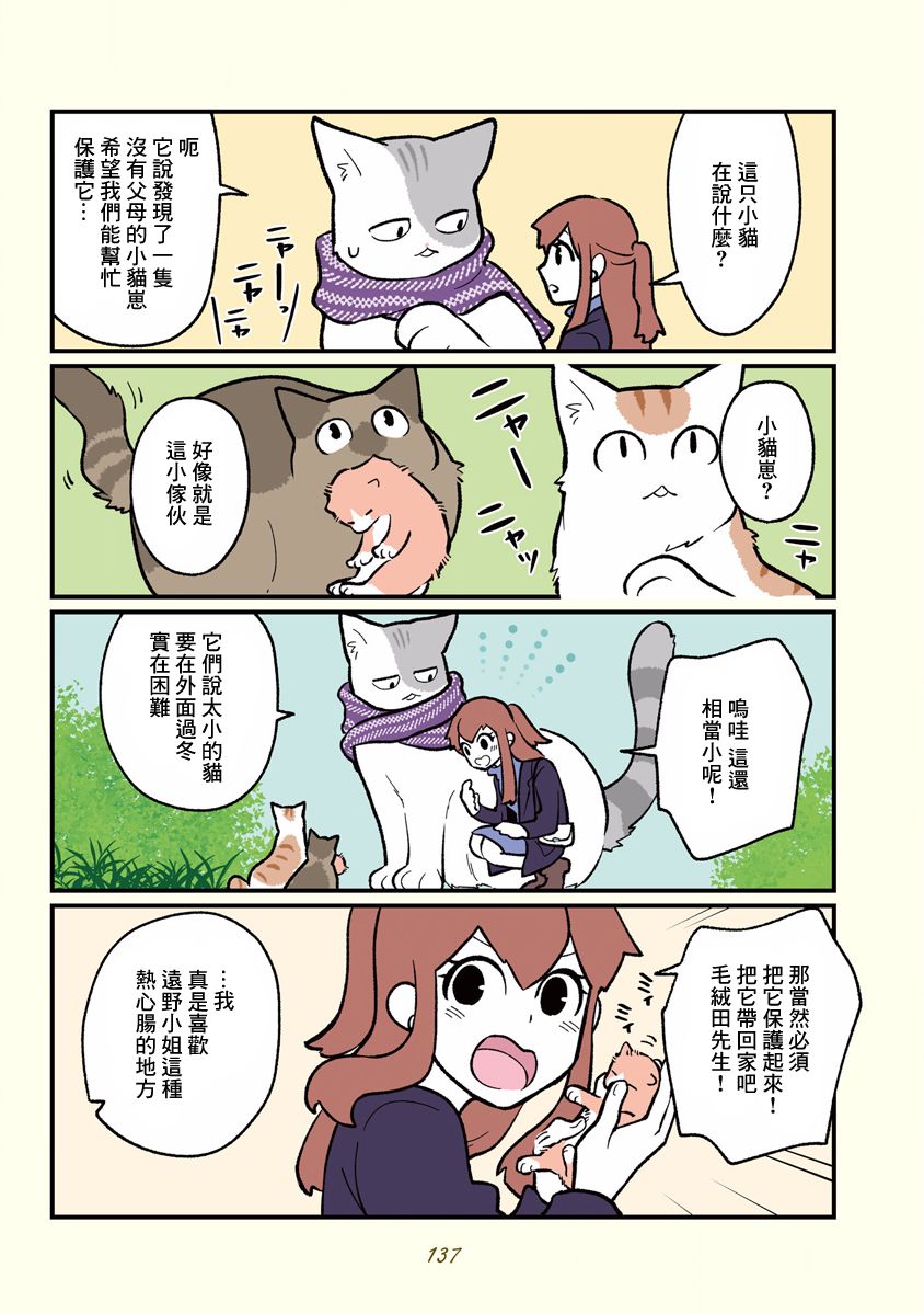 黑心企业的职员变成猫之后人生有了转变的故事韩漫全集-第11话无删减无遮挡章节图片 