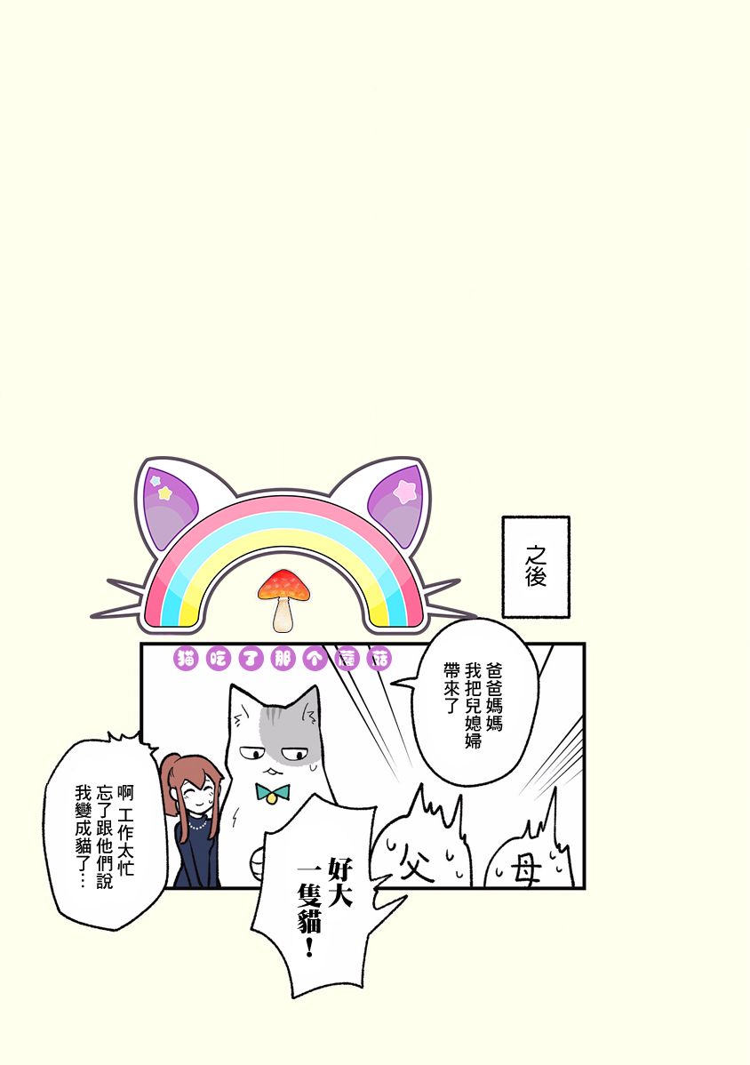 黑心企业的职员变成猫之后人生有了转变的故事韩漫全集-第11话无删减无遮挡章节图片 