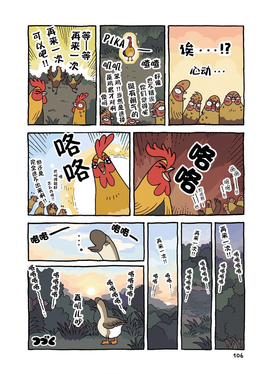 鸡仔生活韩漫全集-第12话无删减无遮挡章节图片 