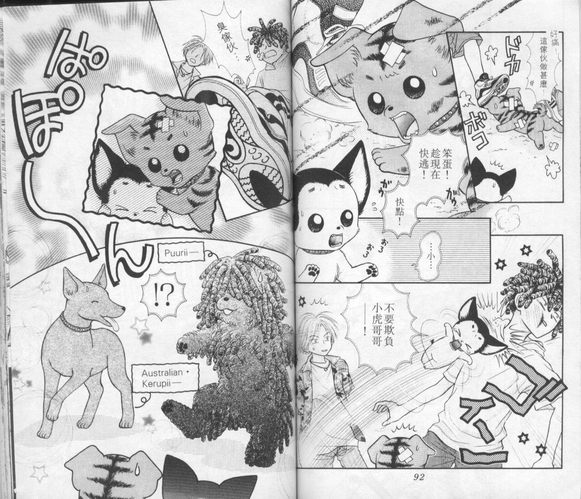 狗仔奇缘韩漫全集-vol_02无删减无遮挡章节图片 