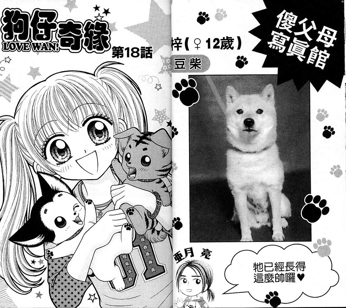 狗仔奇缘韩漫全集-vol_04无删减无遮挡章节图片 