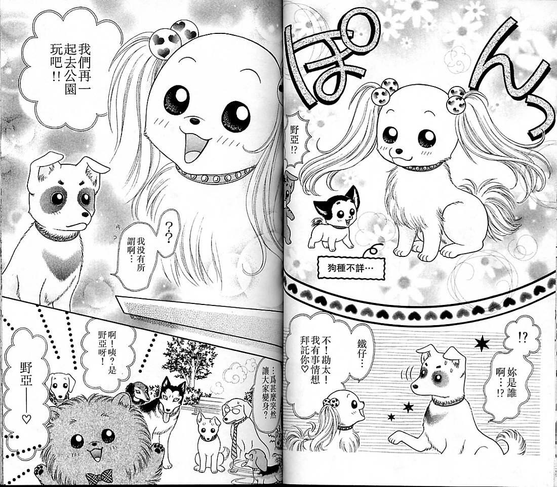 狗仔奇缘韩漫全集-vol_04无删减无遮挡章节图片 
