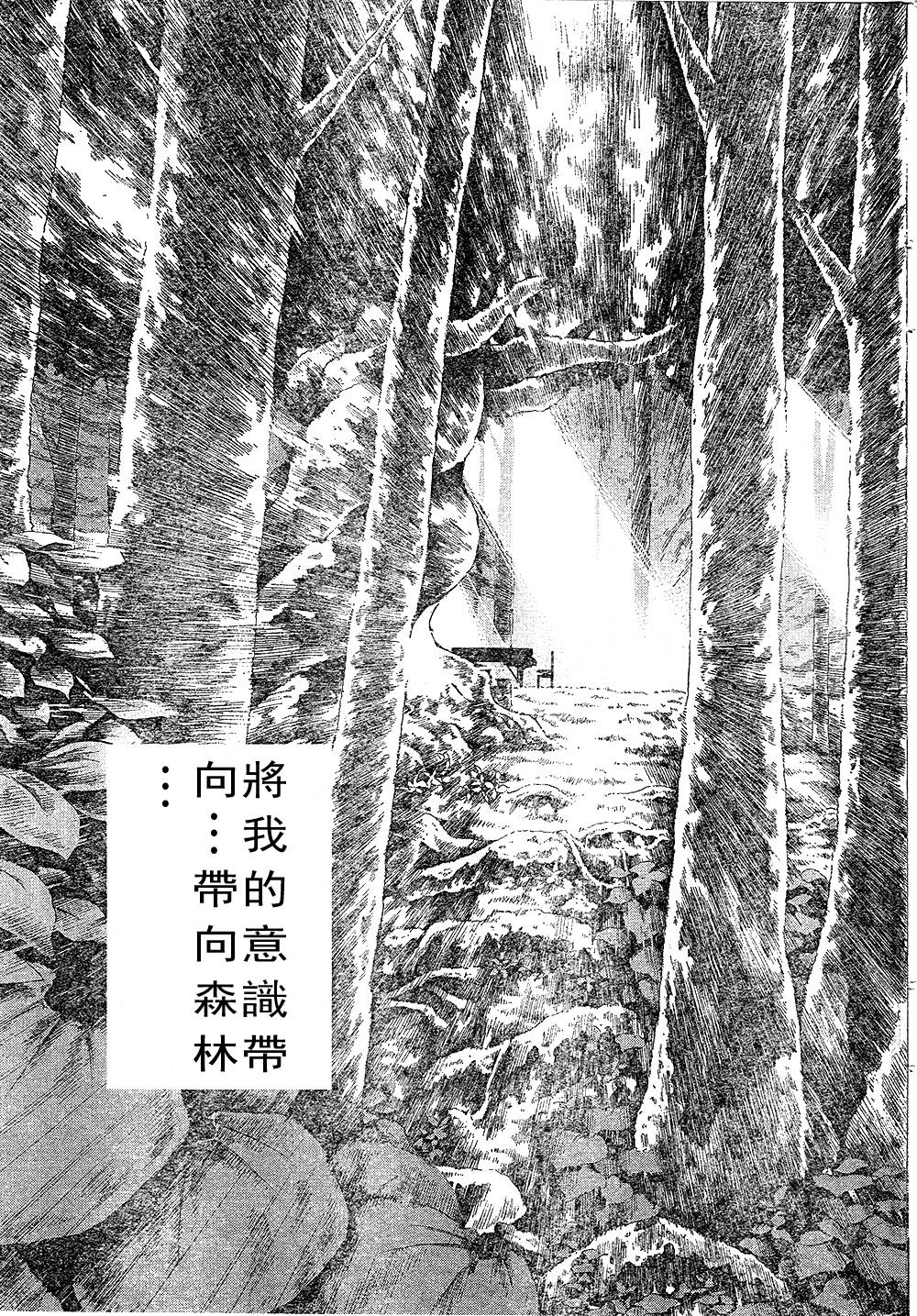 森林中的钢琴师韩漫全集-第217话无删减无遮挡章节图片 