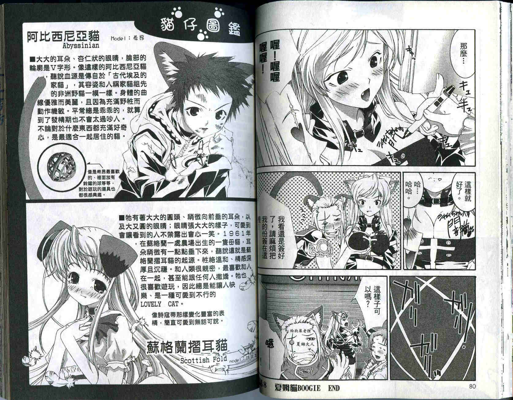 梦幻猫物语韩漫全集-第2卷无删减无遮挡章节图片 