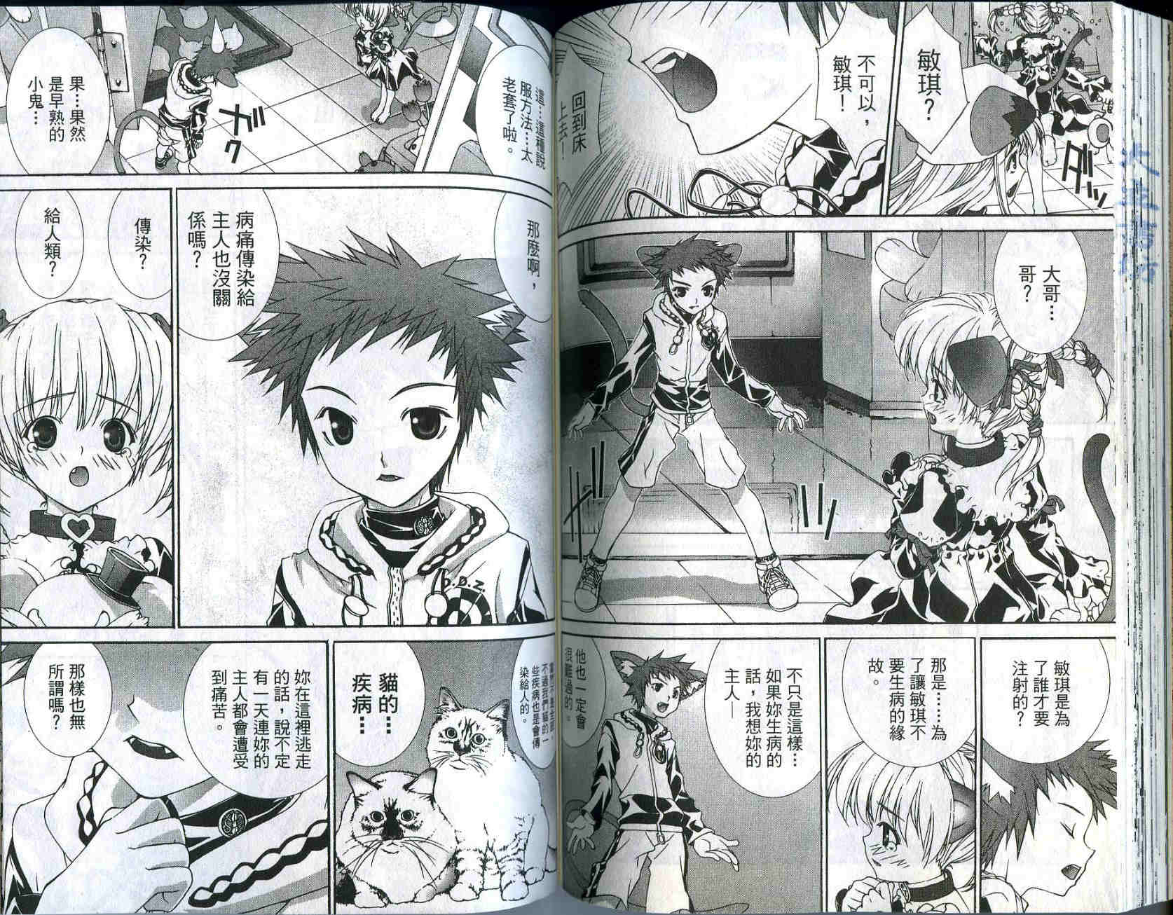 梦幻猫物语韩漫全集-第2卷无删减无遮挡章节图片 