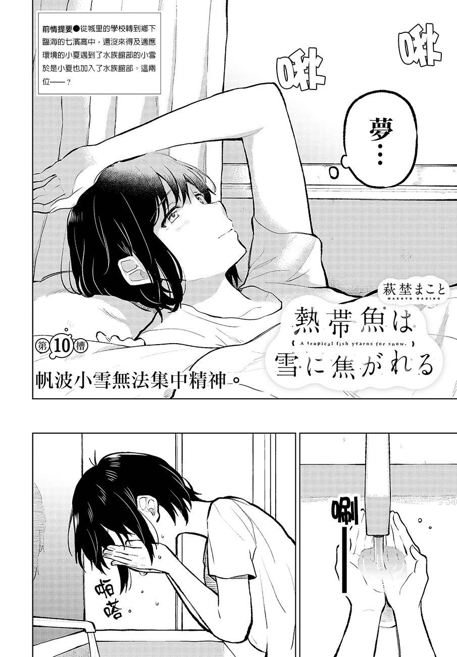 思慕雪的热带鱼韩漫全集-第10话无删减无遮挡章节图片 