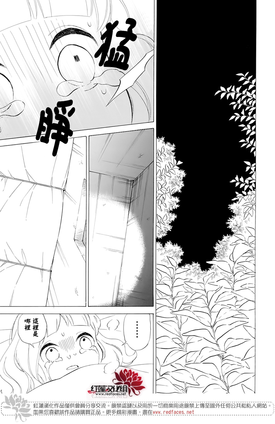 选择死亡的柯莱特韩漫全集-第105话无删减无遮挡章节图片 