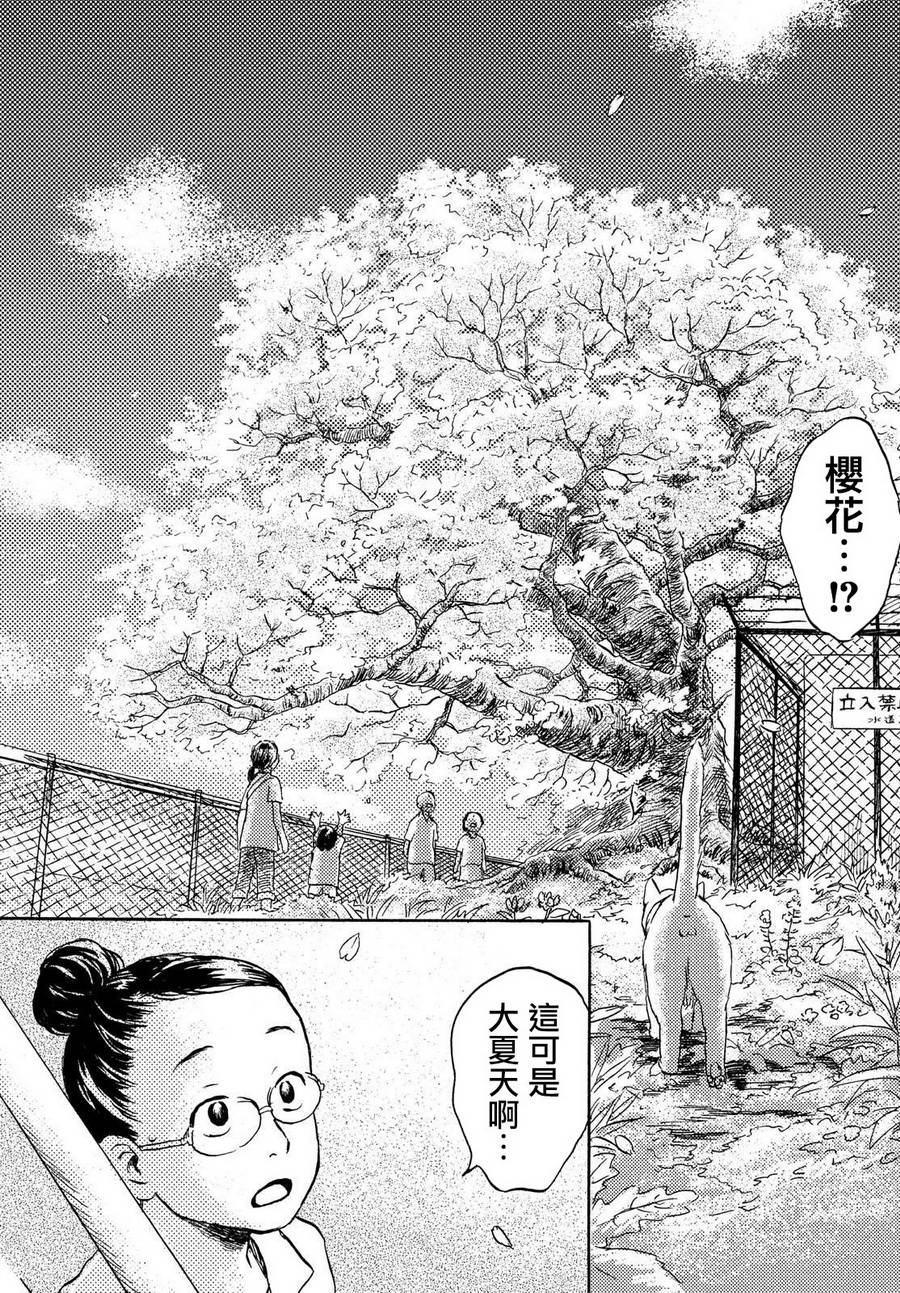 猫面向西韩漫全集-第02话无删减无遮挡章节图片 