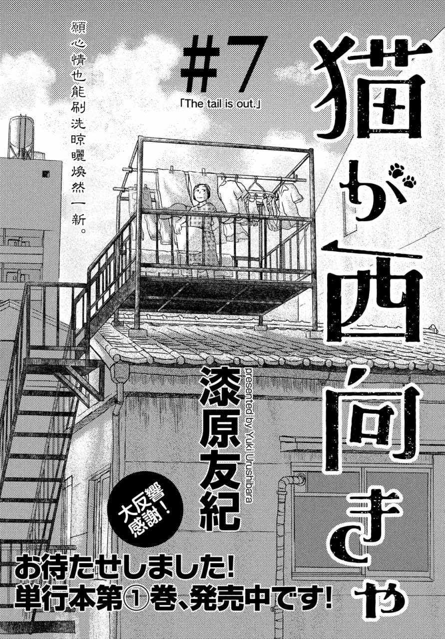 猫面向西韩漫全集-第07话无删减无遮挡章节图片 