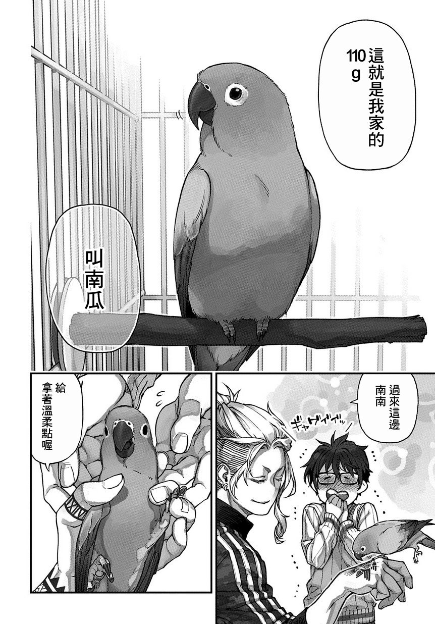 鸟成瘾者韩漫全集-第01话无删减无遮挡章节图片 