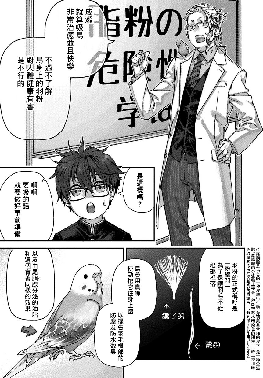 鸟成瘾者韩漫全集-第01话无删减无遮挡章节图片 