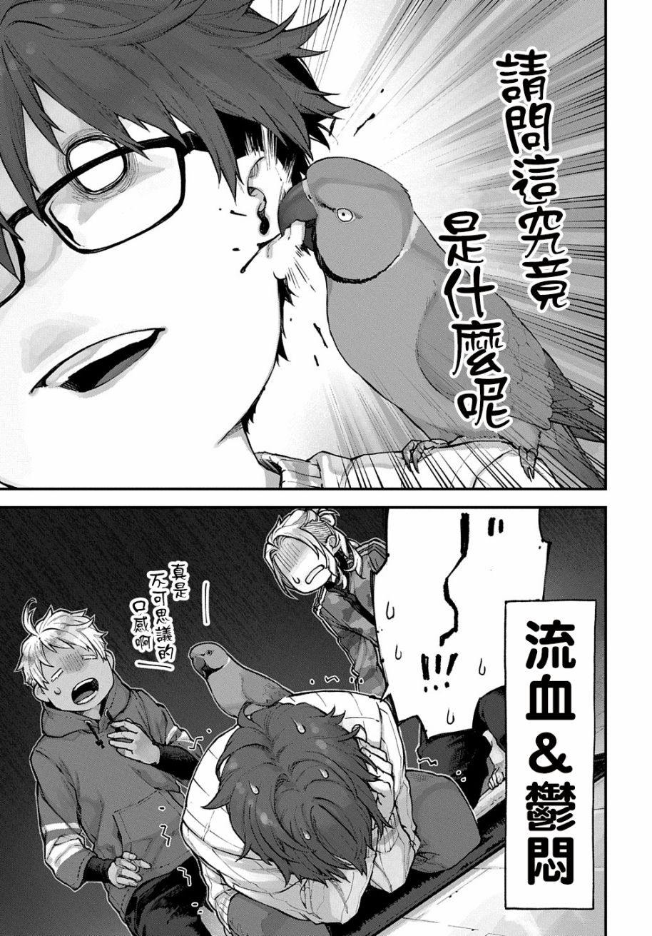 鸟成瘾者韩漫全集-第08话无删减无遮挡章节图片 