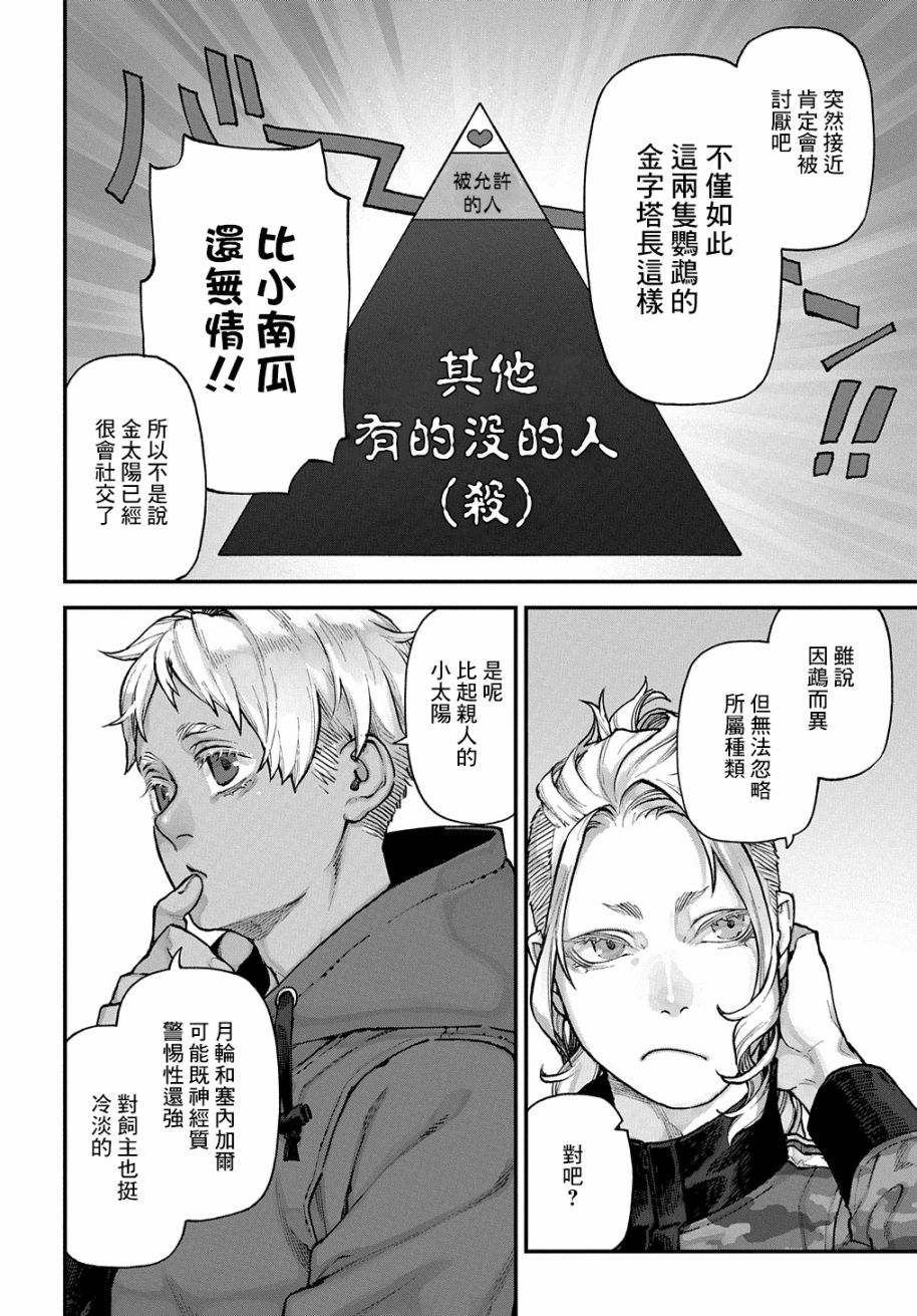 鸟成瘾者韩漫全集-第08话无删减无遮挡章节图片 