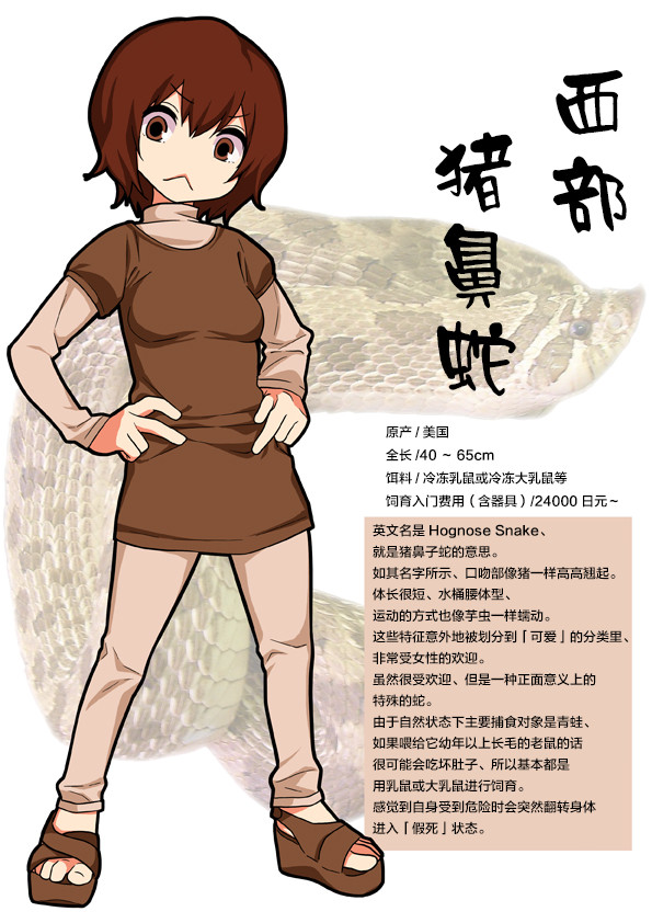秘密的爬虫类韩漫全集-作者P站图3无删减无遮挡章节图片 