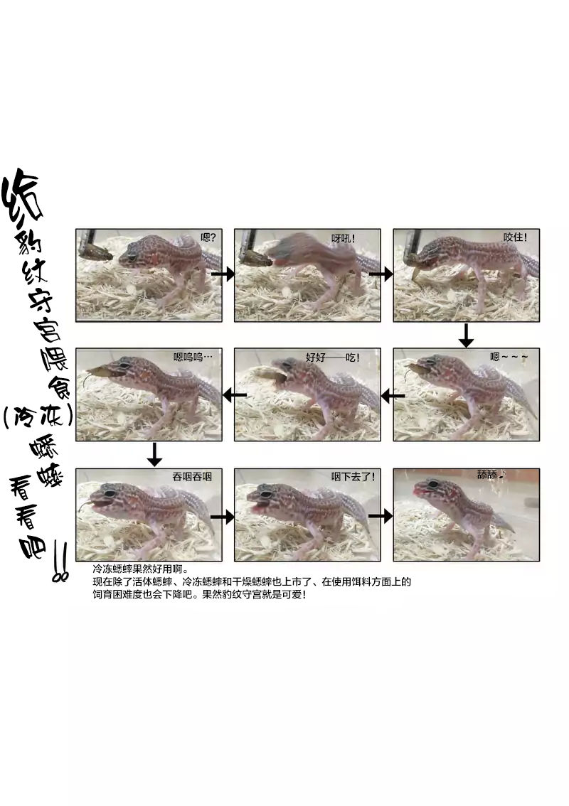 秘密的爬虫类韩漫全集-第04.5话无删减无遮挡章节图片 
