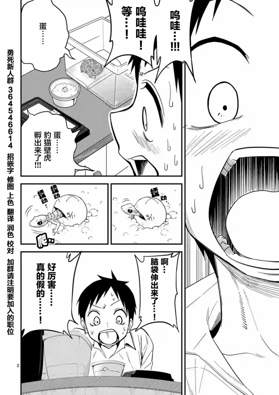 秘密的爬虫类韩漫全集-第13话无删减无遮挡章节图片 