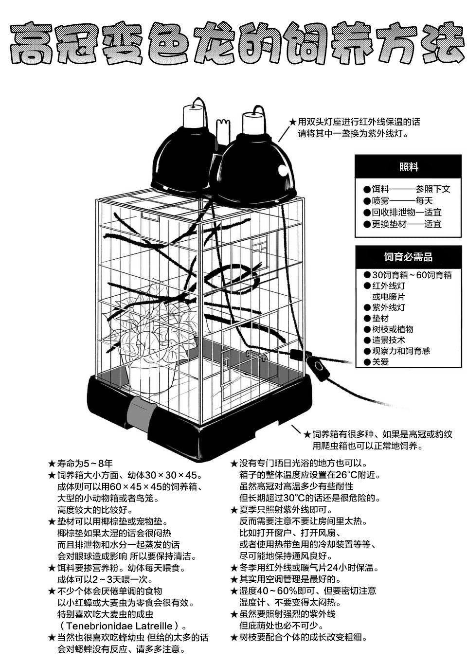秘密的爬虫类韩漫全集-第39话无删减无遮挡章节图片 