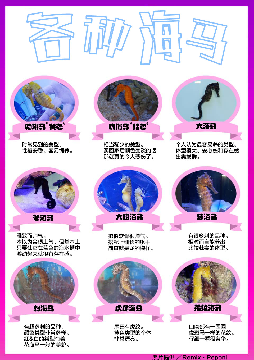 秘密的爬虫类韩漫全集-第41话无删减无遮挡章节图片 