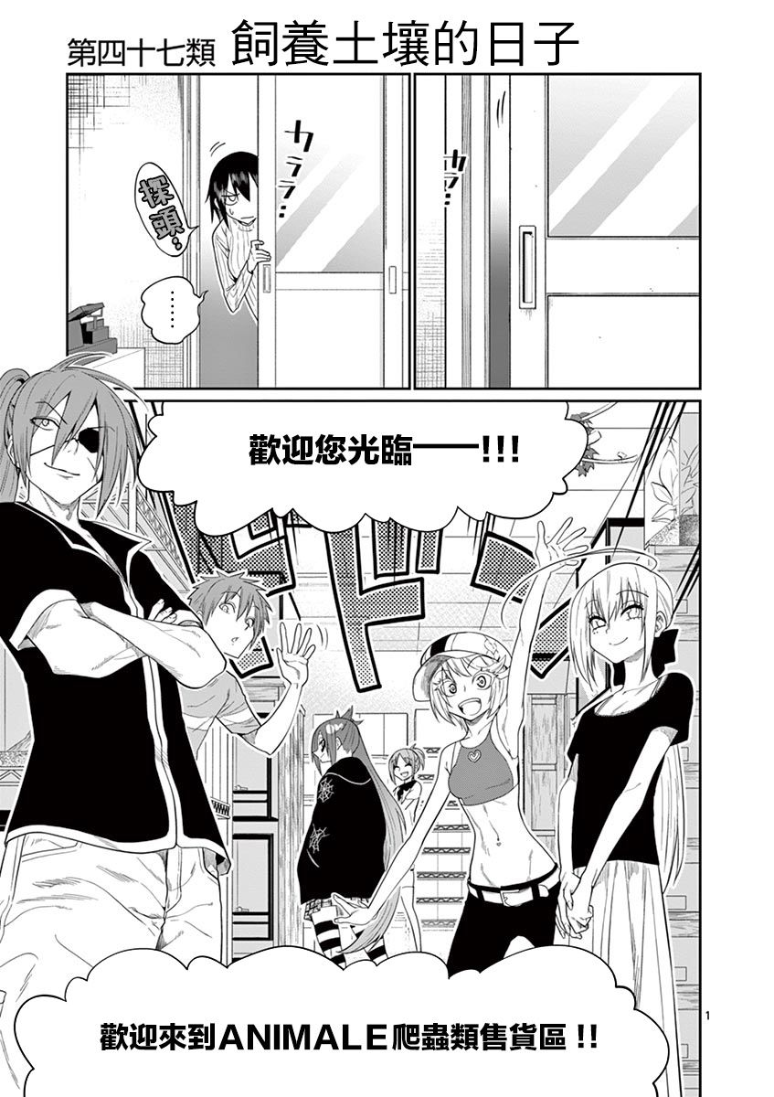 秘密的爬虫类韩漫全集-第47话无删减无遮挡章节图片 