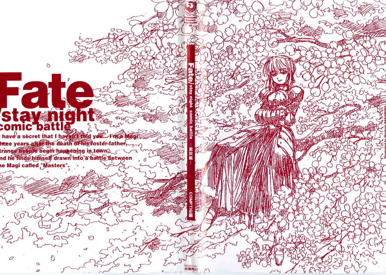 Fate/stay night 激突篇韩漫全集-VOL01无删减无遮挡章节图片 