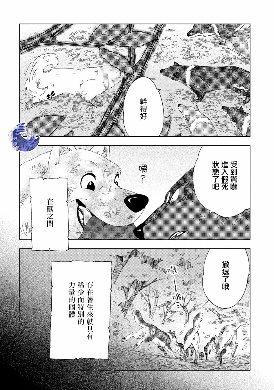 狐狸阡万韩漫全集-第01话无删减无遮挡章节图片 