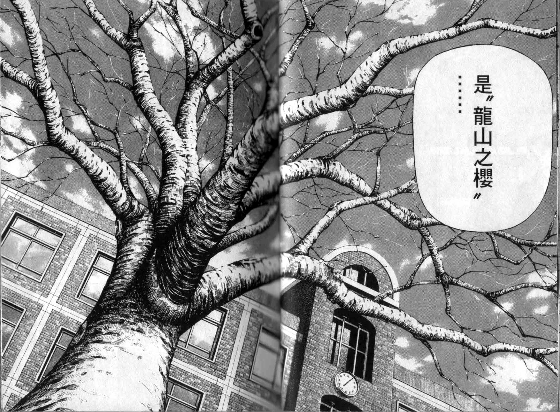 龙樱[东大特训班]韩漫全集-龙樱VOL1无删减无遮挡章节图片 