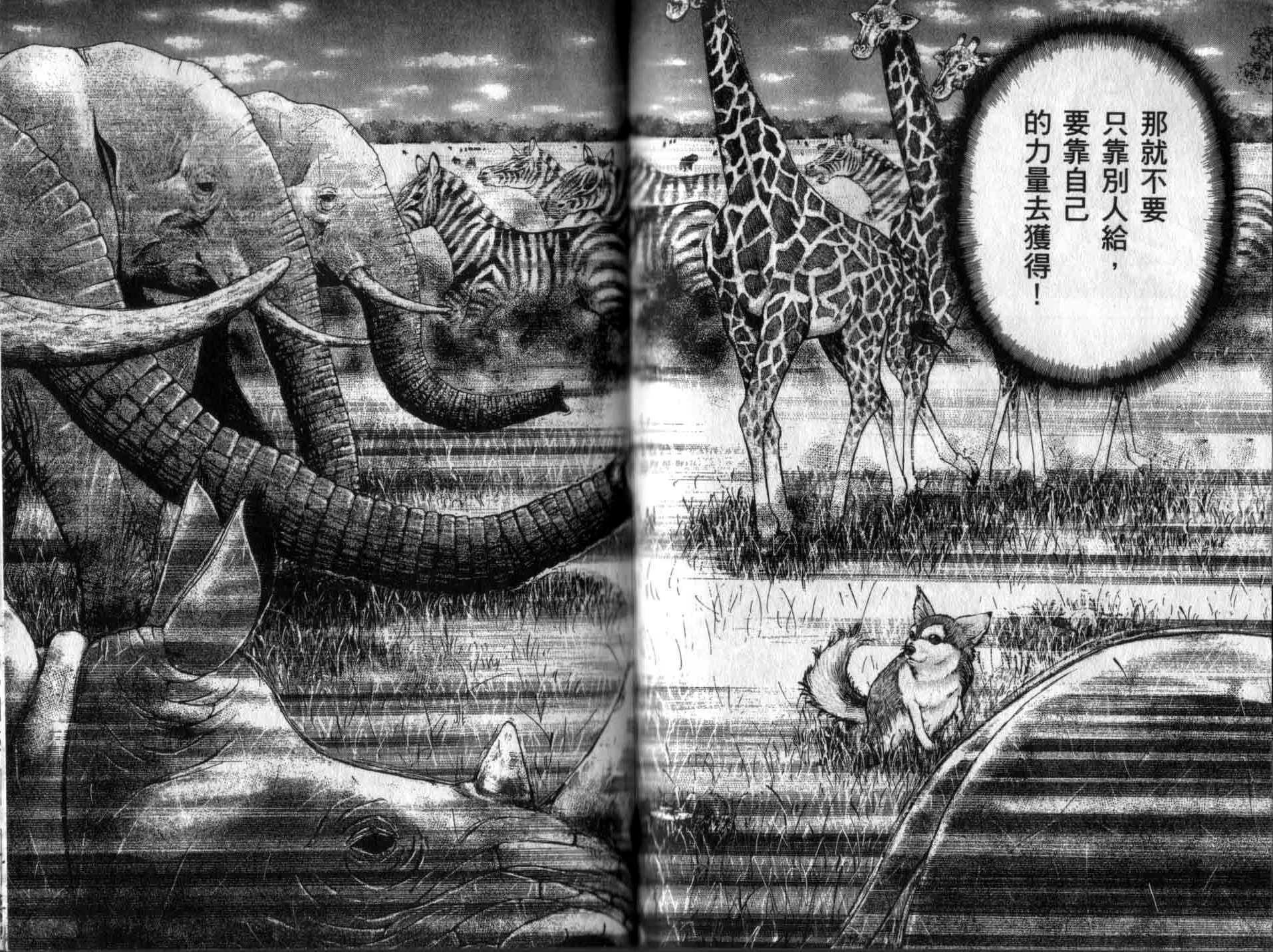 龙樱[东大特训班]韩漫全集-龙樱VOL5无删减无遮挡章节图片 