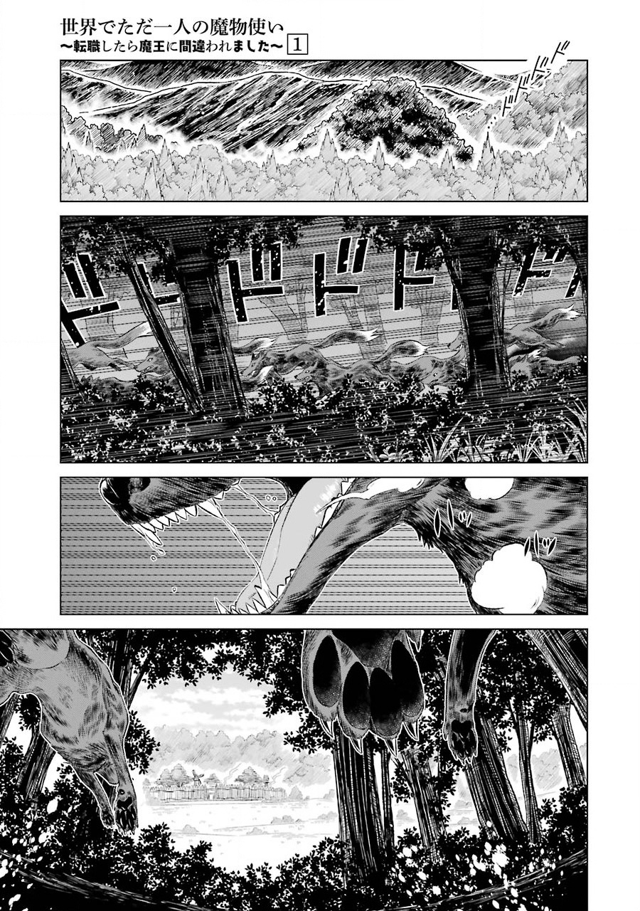 世界上唯一的魔物使～转职后被误认为了魔王～韩漫全集-第04话无删减无遮挡章节图片 