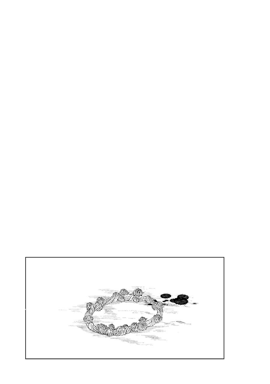 世界上唯一的魔物使～转职后被误认为了魔王～韩漫全集-第08话无删减无遮挡章节图片 