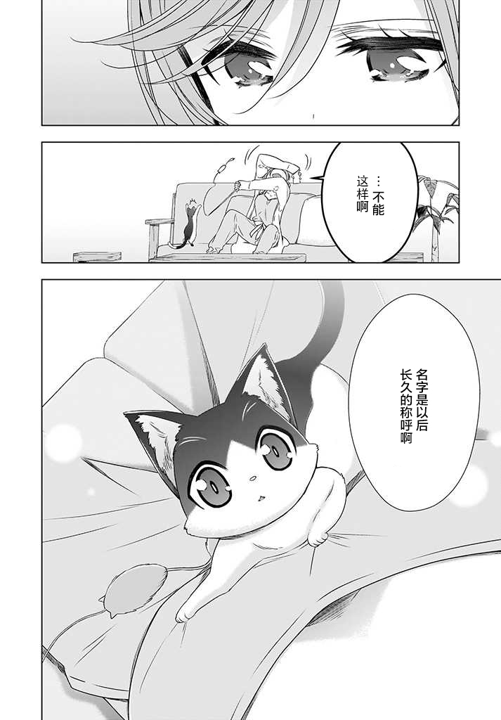 OL小姐与猫的故事韩漫全集-第02话无删减无遮挡章节图片 