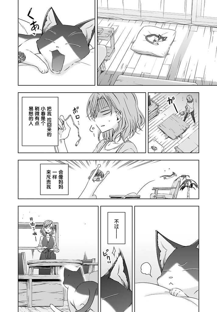 OL小姐与猫的故事韩漫全集-第03话无删减无遮挡章节图片 