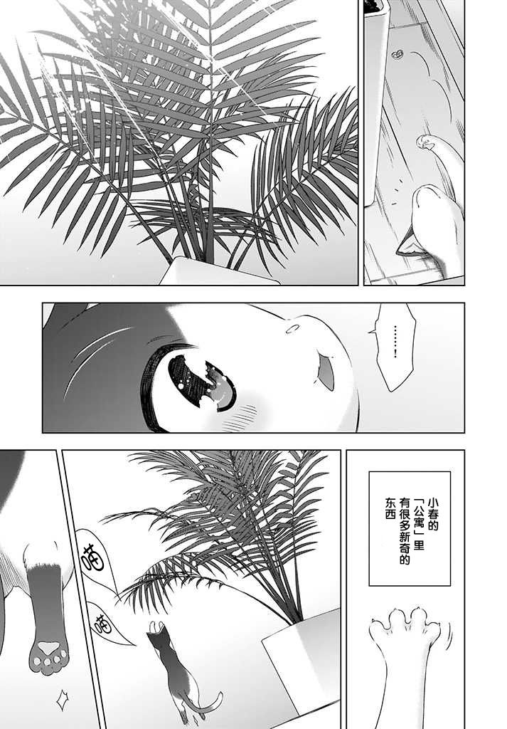 OL小姐与猫的故事韩漫全集-第03话无删减无遮挡章节图片 