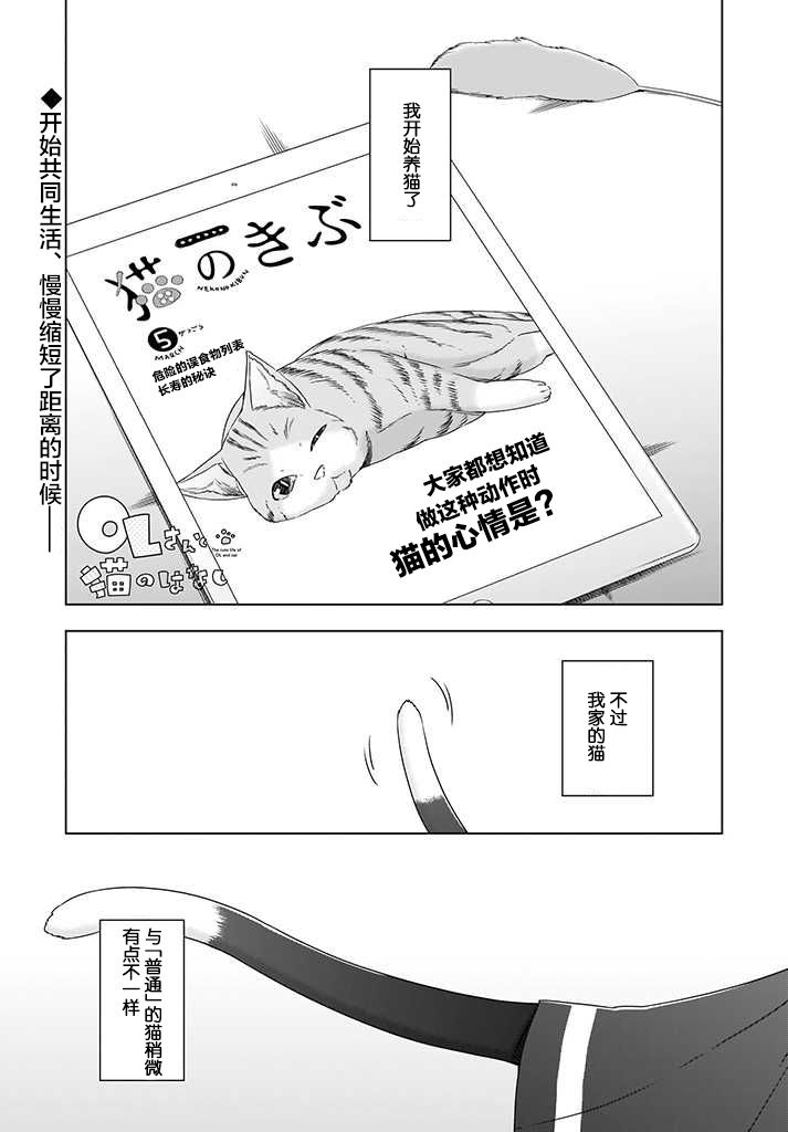 OL小姐与猫的故事韩漫全集-第04话无删减无遮挡章节图片 