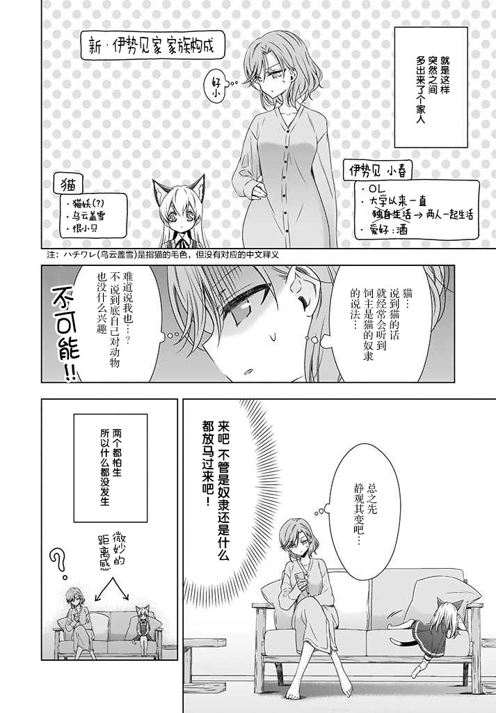 OL小姐与猫的故事韩漫全集-番外篇无删减无遮挡章节图片 