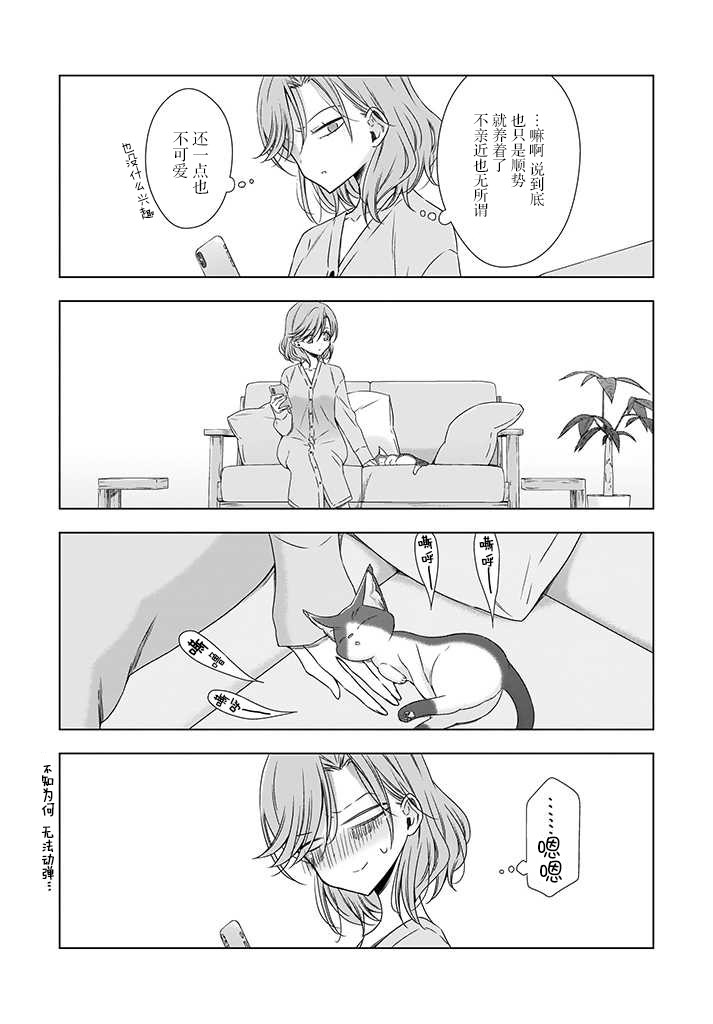 OL小姐与猫的故事韩漫全集-番外篇无删减无遮挡章节图片 